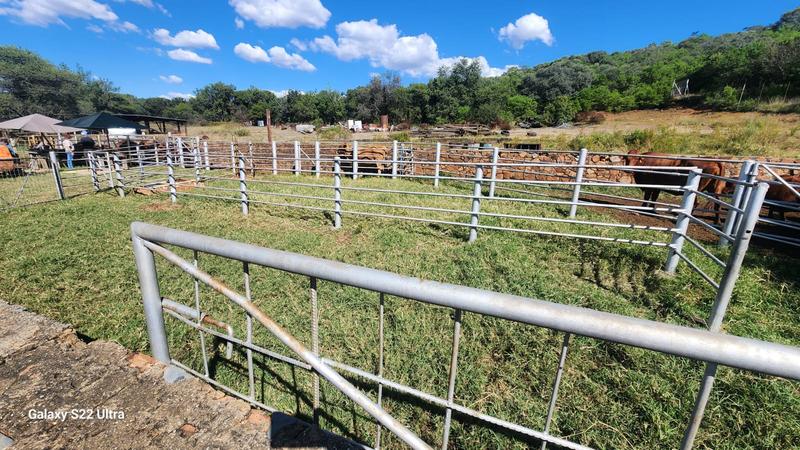 0 Bedroom Property for Sale in Olifantshoek North West